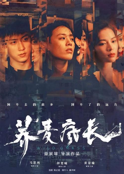 定制高仿立陶宛驾照